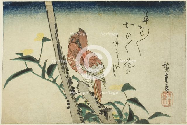 Kingfisher and dayflower, 1830s. Creator: Ando Hiroshige.