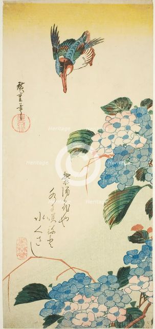 Kingfisher and hydrangea, 1830s. Creator: Ando Hiroshige.