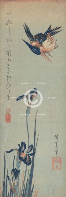Kingfisher and Irises, 1832-34., 1832-34. Creator: Ando Hiroshige.