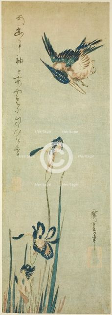 Kingfisher and iris, 1830s. Creator: Ando Hiroshige.