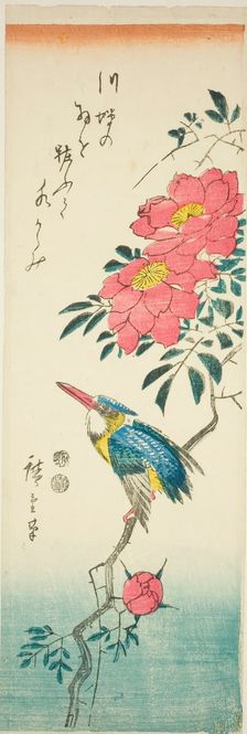 Kingfisher and roses, c. 1847/52. Creator: Ando Hiroshige