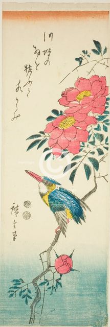 Kingfisher and roses, c. 1847/52. Creator: Ando Hiroshige.