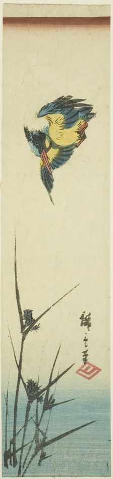 Kingfisher and reeds, c. 1840. Creator: Ando Hiroshige