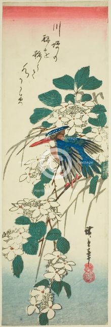 Kingfisher and viburnum, 1840s. Creator: Ando Hiroshige.