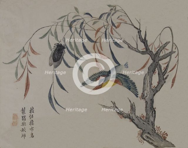 Kingfisher, Cicada, and Willow Tree, 19th century. Creator: Unknown.