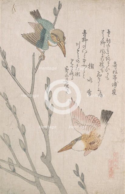 Kingfishers and Pussy-willow, 19th century. Creator: Kubo Shunman.