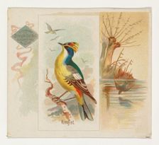 Kinglet, from the Song Birds of the World series (N42) for Allen & Ginter Cigarettes, 1890. Creator: Allen & Ginter