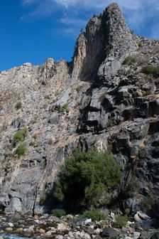 Kings Canyon, California, USA, 2022. Creator: Ethel Davies