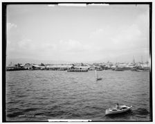 Kingston, Jamaica, W.I., between 1890 and 1901. Creator: Unknown