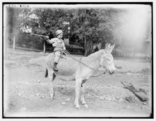 Kind and gentle, c1901. Creator: William H. Jackson