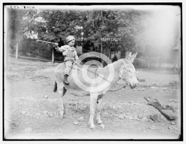 Kind and gentle, c1901. Creator: William H. Jackson.