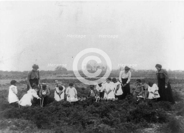 Kindergarten field work, 1899 or 1900. Creator: Frances Benjamin Johnston.