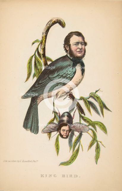 King Bird (Robert P. King and Alexander Baird), from The Comic Natural History of the Human..., 1851 Creators: Henry Louis Stephens, L. Rosenthal.