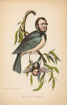 King Bird (Robert P. King and Alexander Baird), from The Comic Natural History of the Human..., 1851 Creators: Henry Louis Stephens, L. Rosenthal