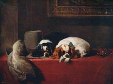 King Charles Spaniels (‘The Cavalier’s Pets’) 1845, (c1915). Artist: Edwin Henry Landseer