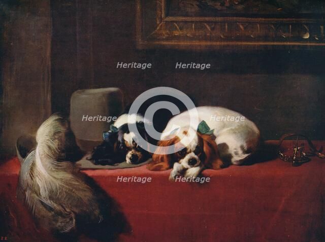 'King Charles Spaniels (‘The Cavalier’s Pets’)', 1845, (c1915). Artist: Edwin Henry Landseer.