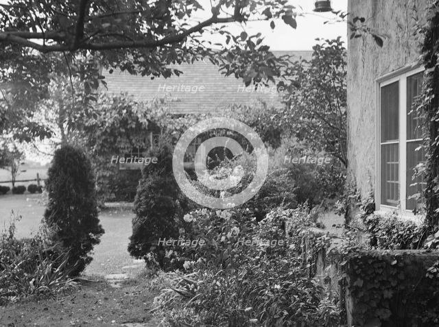 King, Hamilton, Mr., residence and garden, between 1911 and 1934. Creator: Arnold Genthe.