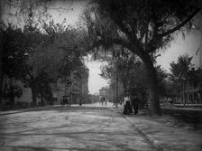 King Street, St. Augustine, c1902. Creator: William H. Jackson