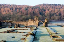 Kirkham Priory, North Yorkshire, c1980-c2017. Artist: Historic England commissioned photographer