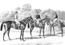 Kisber (Winner of the Derby); Enguerrande and Camelia (Runners of the Dead-Heat for the Oaks), 1876. Creator: Unknown