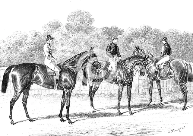 Kisber (Winner of the Derby); Enguerrande and Camelia (Runners of the Dead-Heat for the Oaks), 1876. Creator: Unknown.