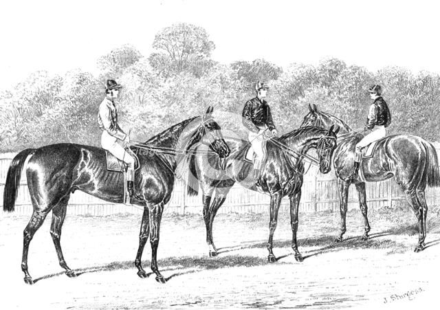 Kisber (Winner of the Derby); Enguerrande and Camelia (Runners of the Dead-Heat for the Oaks), 1876. Creator: Unknown.
