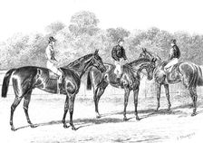 Kisber (Winner of the Derby); Enguerrande and Camelia (Runners of the Dead-Heat for the Oaks), 1876. Creator: Unknown