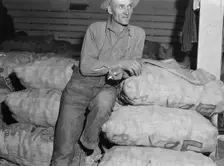 Klamath Basin potato farmer, Tulelake, Siskiyou County, California, 1939. Creator: Dorothea Lange