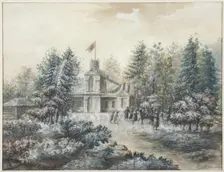 Krak house in Pavlovsk