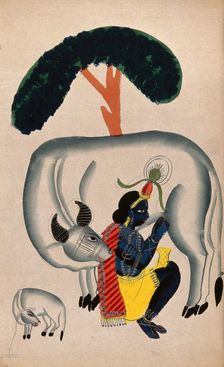 Krishna milking a cow while the calf looks. Creator: Unknown