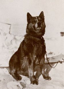 'Krisravitsa c1910–1913, (1913). Artist: Herbert Ponting