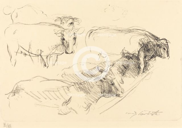 Kühe (Cows), 1910. Creator: Lovis Corinth.