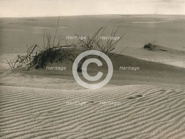 'Kurische Nehrung - Shifting dune', 1931. Artist: Kurt Hielscher.