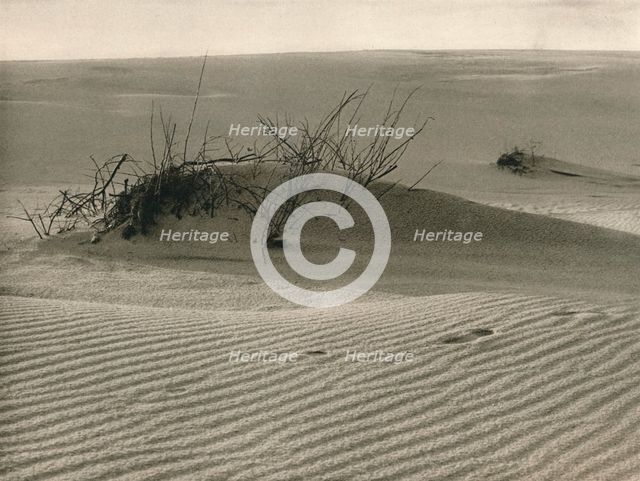 'Kurische Nehrung - Shifting dune', 1931. Artist: Kurt Hielscher.