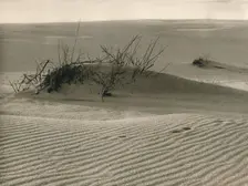 Kurische Nehrung - Shifting dune 1931. Artist: Kurt Hielscher