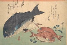 Kurodai and Kodai Fish with Bamboo Shoots and Berries, from the series Uozukushi (Every V..., 1830s. Creator: Ando Hiroshige