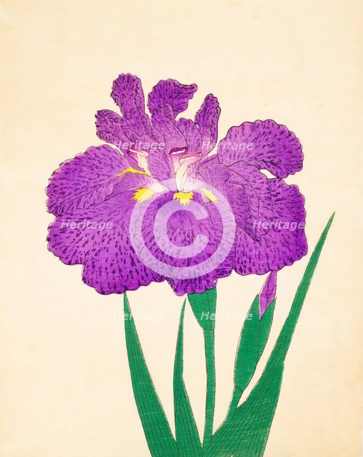 Kyo-Nishiki, No. 11, 1890, (colour woodblock print)