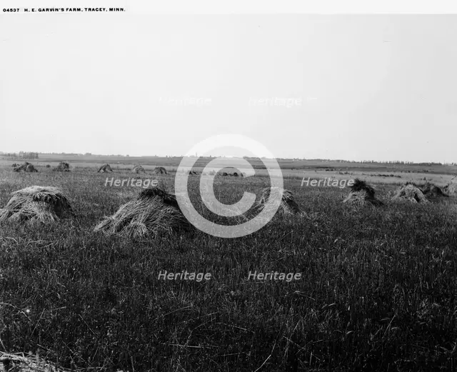 H.E. Garvin's farm, Tracey [sic], Minn., between 1880 and 1899. Creator: Unknown.