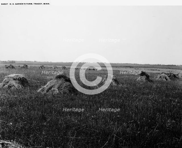 H.E. Garvin's farm, Tracey [sic], Minn., between 1880 and 1899. Creator: Unknown.