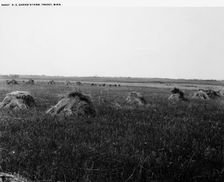 H.E. Garvin's farm, Tracey [sic], Minn., between 1880 and 1899. Creator: Unknown