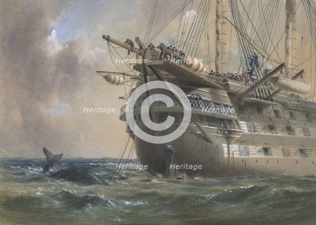 H.M.S. Agamemnon Laying the Atlantic Telegraph Cable in 1858: a Whale Crosses the Line, 1865-66. Creator: Robert Charles Dudley.