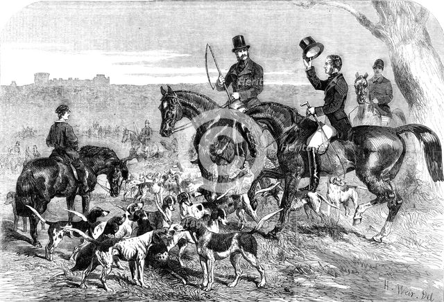 H.R.H. Prince Albert's Harriers, 1856.  Creator: Harrison Weir.