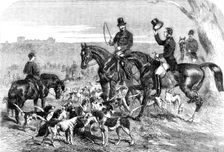 H.R.H. Prince Albert's Harriers, 1856. Creator: Harrison Weir
