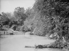 Hot springs at Taninul, between 1880 and 1897. Creator: William H. Jackson