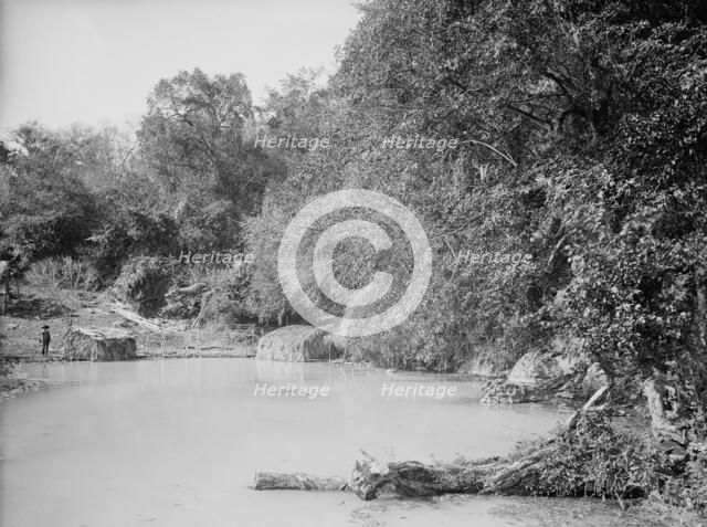 Hot springs at Taninul, between 1880 and 1897. Creator: William H. Jackson.