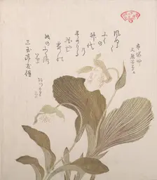 Hotei Flowers, 19th century. Creator: Kubo Shunman