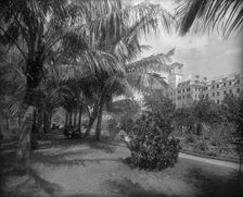 Hotel [Royal] Poinciana, Lake Worth, c1894. Creator: William H. Jackson