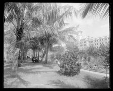Hotel Royal Poinciana, Lake Worth, c1894. Creator: William H. Jackson