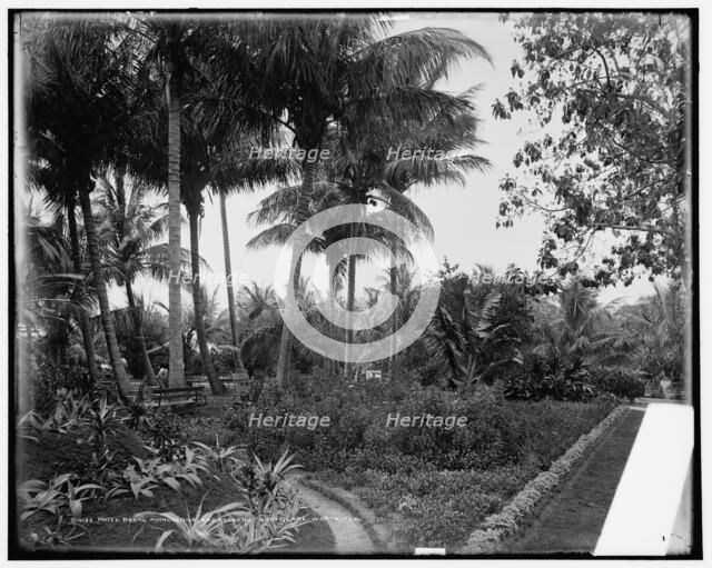Hotel Royal Poincianna i.e. Poinciana and cocoanut grove, Lake Worth, Fla., c1900. Creator: Unknown.