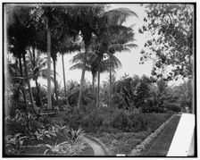 Hotel Royal Poincianna i.e. Poinciana and cocoanut grove, Lake Worth, Fla., c1900. Creator: Unknown